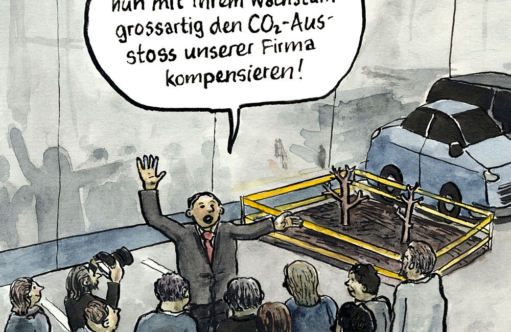 Baumpflanzung als CO2-Kompensation